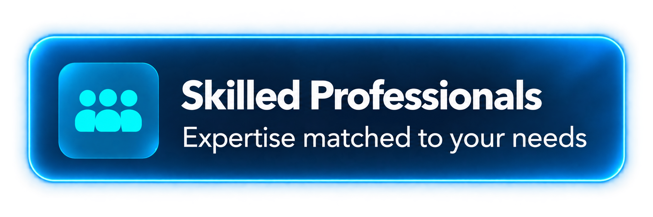Skilled Professionals. Expertise matched to your needs.